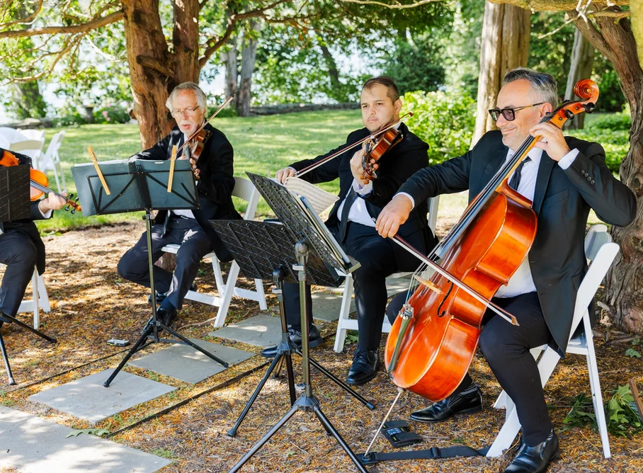 Wedding DJ with Live Musicians | What Couples Should Know